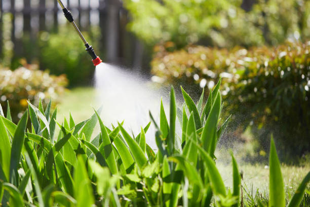 24/7 Emergency Mosquito Control experts in Clearwater, MN